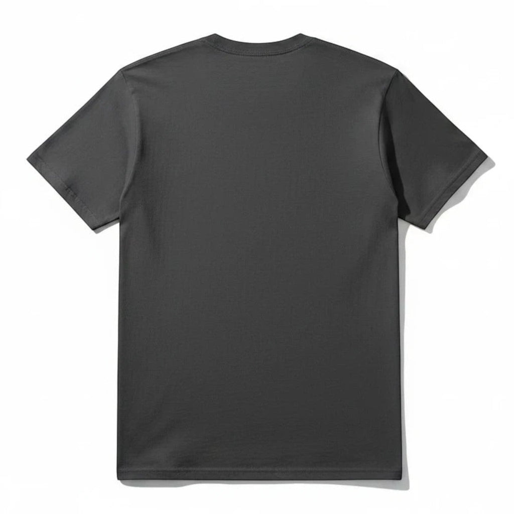 PAPPAREL heavyweight vintage crewneck t-shirt in charcoal grey, shown from the back with a relaxed modern fit.