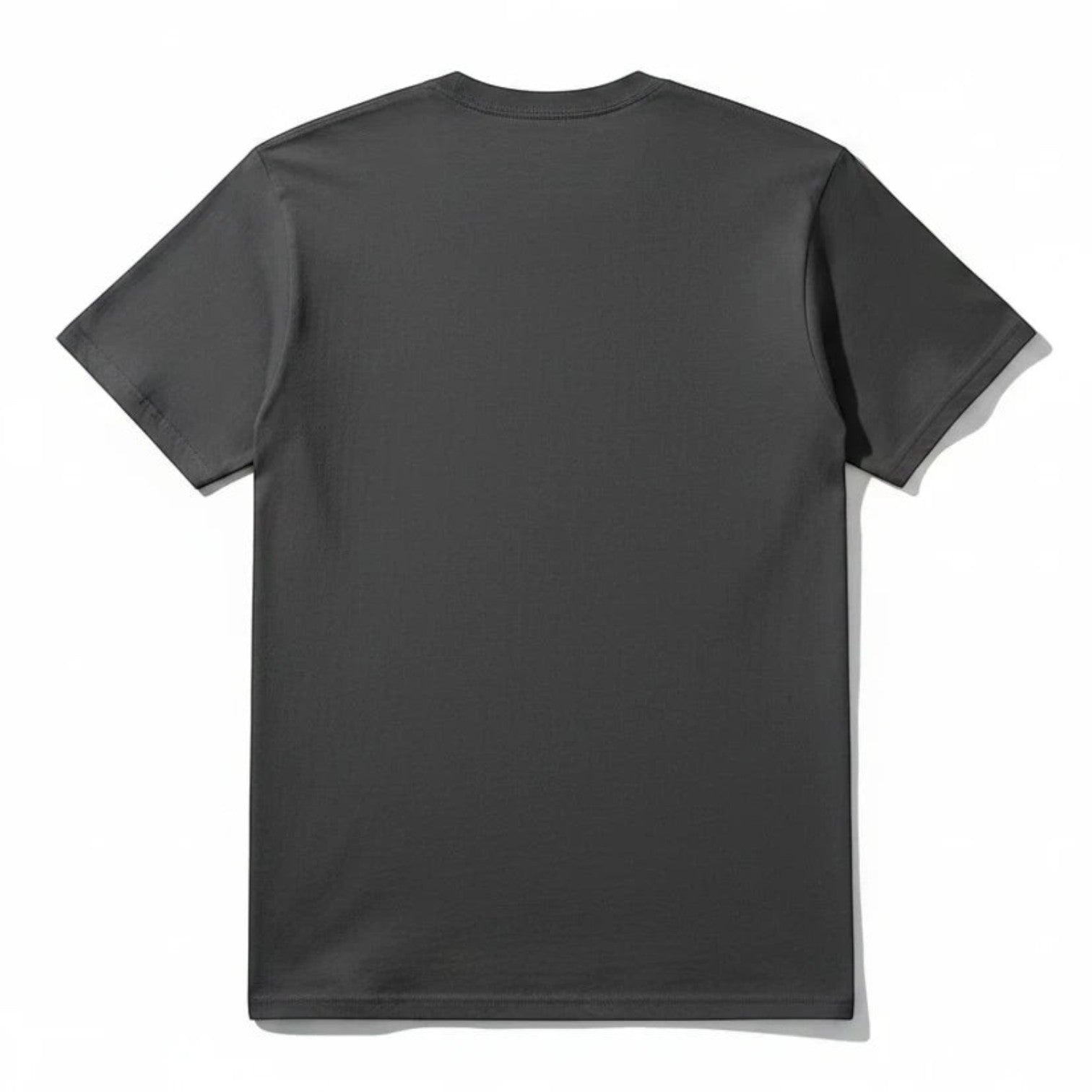 PAPPAREL heavyweight vintage crewneck t-shirt in charcoal grey, shown from the back with a relaxed modern fit.